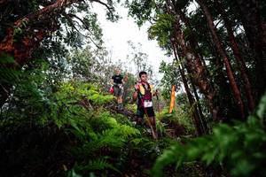 BIB: 
                            <button type="button" onclick="openModal(26204033)" class="btn btn-primary btn-sm float-right btn-popup" data-toggle="modal" data-target=".modal-high-quality">
                        <i class="fas fa-shopping-cart"></i> Add to Cart
                    </button>
                                            <button type="button" onclick="isThisMe(26204033, true)" class="btn btn-success btn-sm float-right btn-popup btn-isme hidden" data-toggle="tooltip" data-placement="bottom" title="นี่คือรูปของคุณใช่ไหม คลิกที่นี่เพื่อเอาเข้าอัลบั้ม">
                        <i class="fas fa-plus"></i> Add to album
                    </button>
                    <button type="button" onclick="isThisMe(26204033, false)" class="btn btn-warning btn-sm float-right btn-popup btn-isnotme hidden">
                        <i class="fas fa-ban"></i> Remove from album
                    </button>